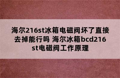 海尔216st冰箱电磁阀坏了直接去掉能行吗 海尔冰箱bcd216st电磁阀工作原理